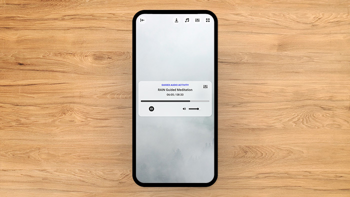 RAIN Guided Meditation Tool Preview 2