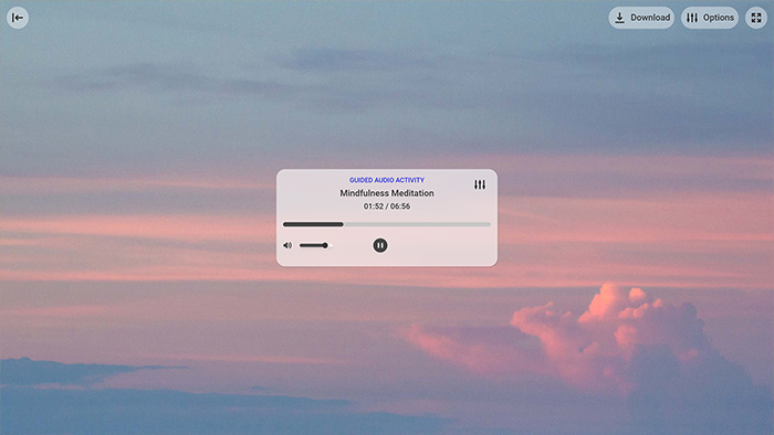 Mindfulness Meditation Tool Preview 2