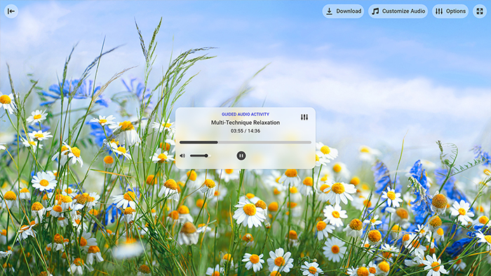 Multi-Technique Relaxation Tool Preview 2
