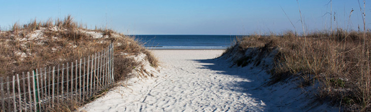 Beach Visualization