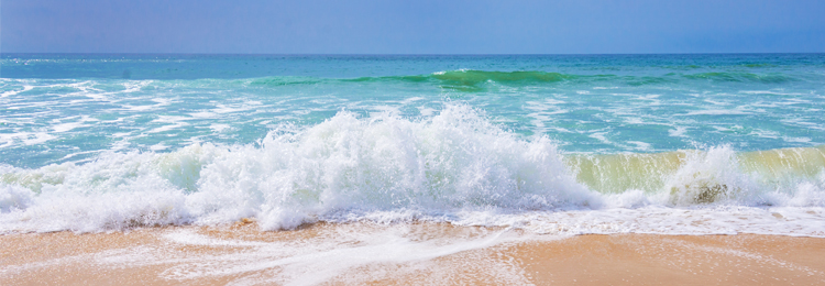 Urge Surfing Guided Exercise