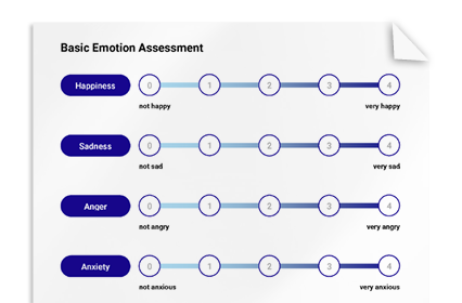 Basic Emotion Assessment